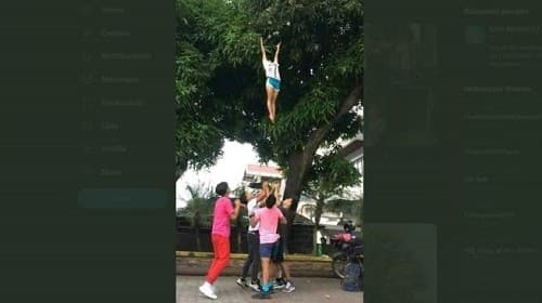 Kelompok Cheerleader mengambil mangga (Foto:Istimewa)