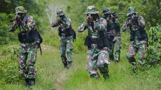 TNI Latihan Perang (Foto:Istimewa)
