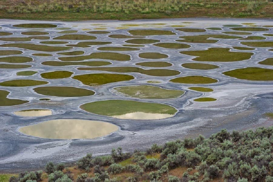  Spotted Lake (Foto: Istimewa)