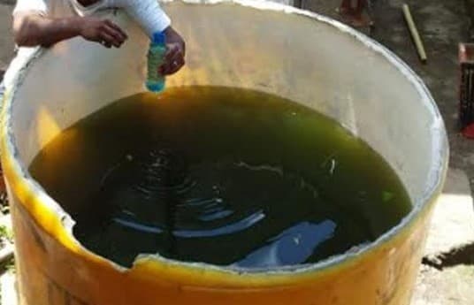 Guru hukum murid minum air dalam viber ini (Foto:Istimewa)s