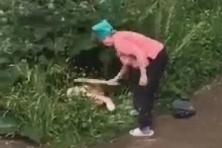 Viral Aksi Nenek Irina Pukul Bokong Pasangan Mesum di Semak-semak