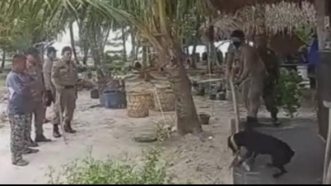 Satpol PP di Aceh Singkil melakukan penganiayaan terhadap anjing Canon (Foto: Tangkapan layar)