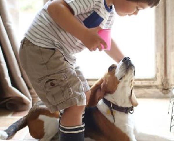 Ilustrasi Anjing dan Anak (Foto:Istimewa)
