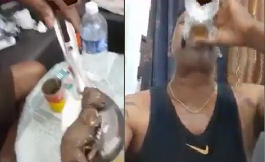 Astaga! Pria Ini Minum Alkohol yang Dicelupi Bayi Harimau (Foto: Istimewa)