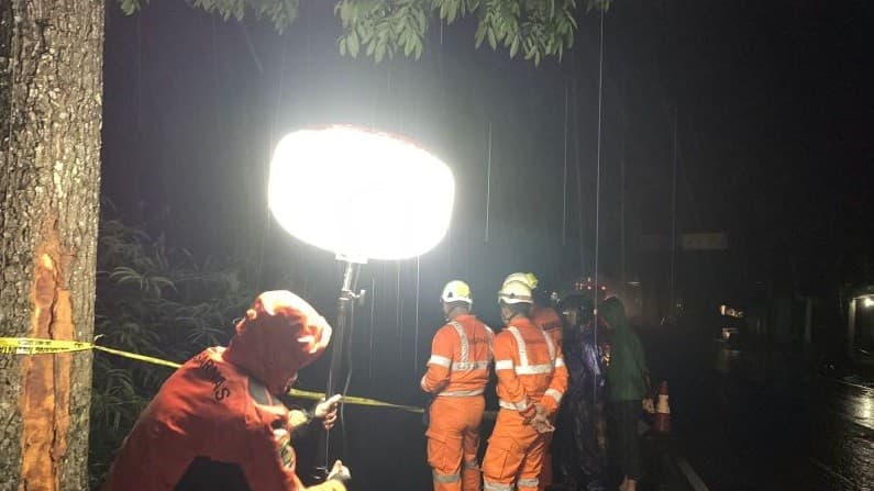 Tim SAR Cari Penumpang Hilang Kecelakaan Bus Masuk Jurang (Foto:Antara)