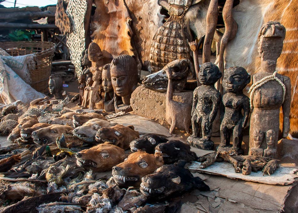 Pasar Voodoo, Afrika (Foto: Istimewa)
