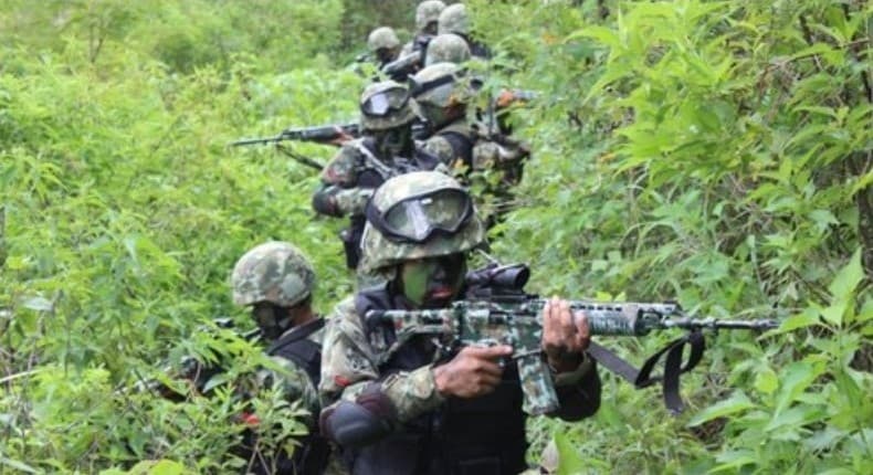 Satuan elite TNI yang bertugas memberantas KKB Papua. 