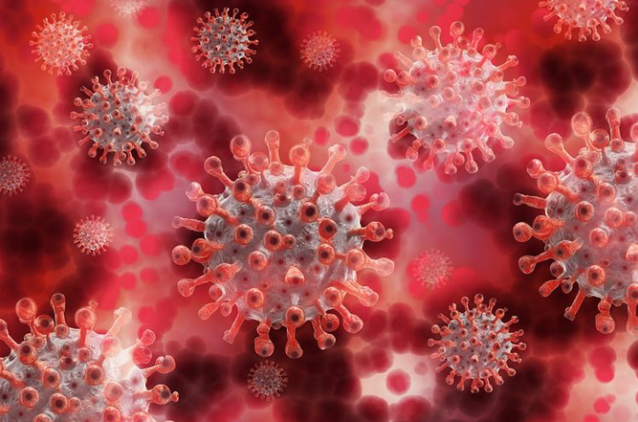 Ilustrasi virus (Foto: Istimewa)