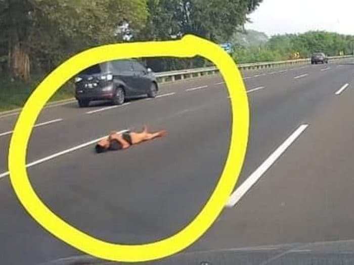 seorang Pria Tidur di Jalan Tol Jagorawi (Foto:Istimewa)