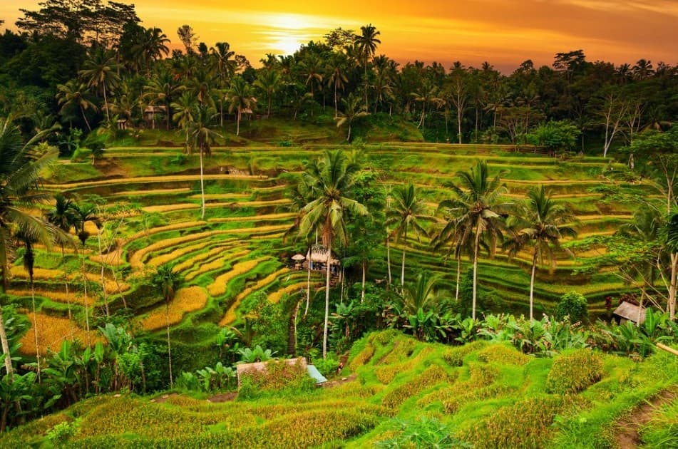 Ubud, Bali (Foto: rariamedia)