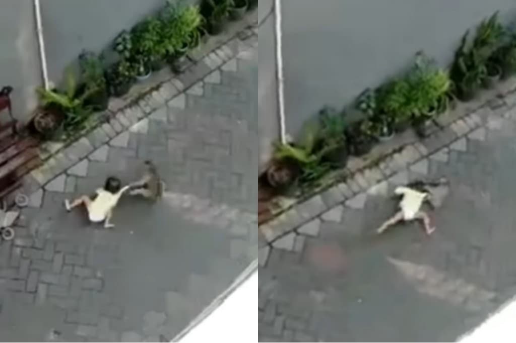 Viral! Detik-detik Balita Diseret Topeng Monyet (Foto: Istimewa)