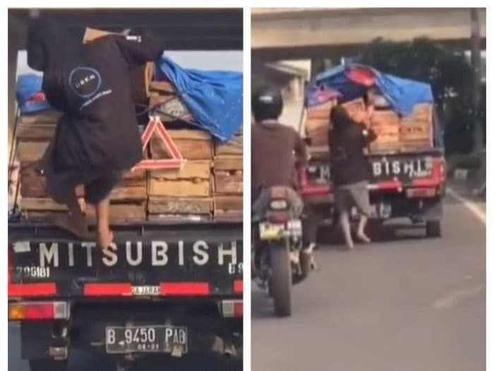 Bajing loncat ambil telur sepeti (Foto:Istimewa)