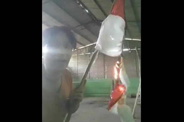 Viral wanita bakar bendera Indonesia