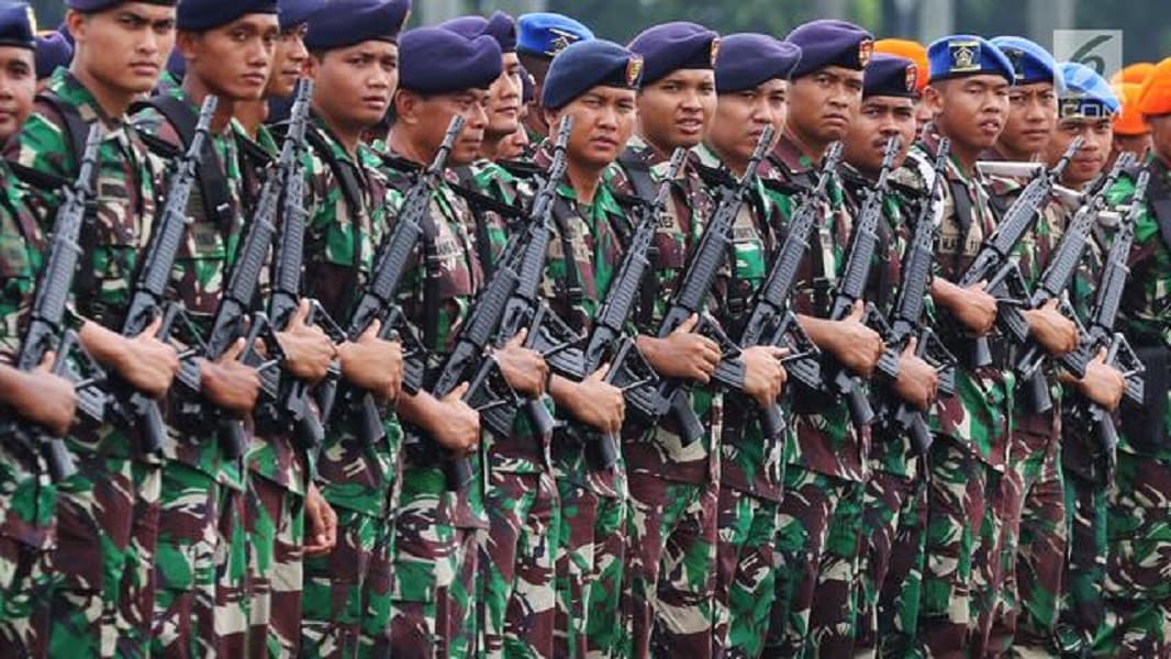 Pasukan TNI (Foto:Istimewa)