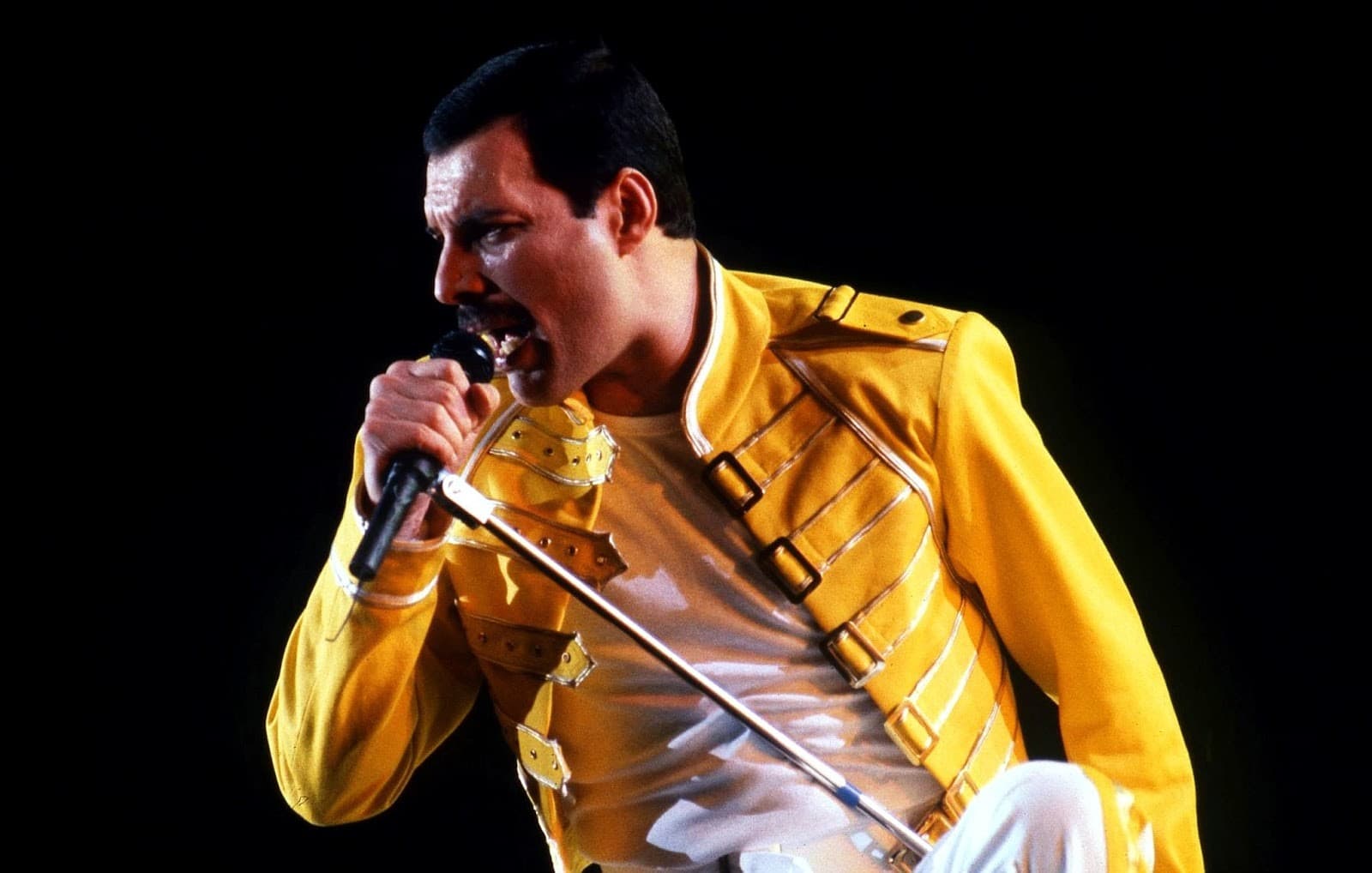 Freddie Mercury (Foto: Istimewa)