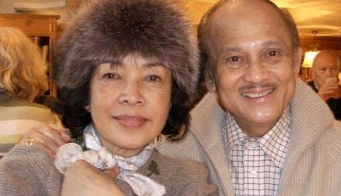 Habibie dan Ainun