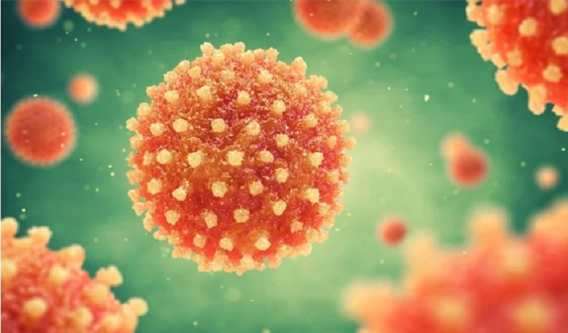 Ilustrasi Hepatitis (Foto:Istimewa)