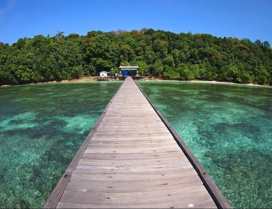 Salah satu pemandangan Danau Kakaban, di Kabupaten Berau, Kalimantan Timur. (doc: istimewa)