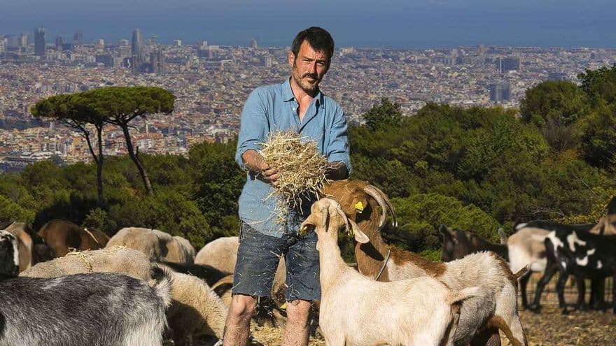 Foto: world-today-news.com