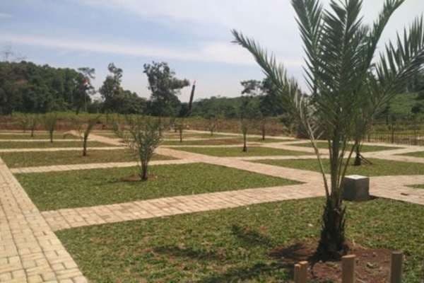 Kampung Kurma (foto:istimewa)