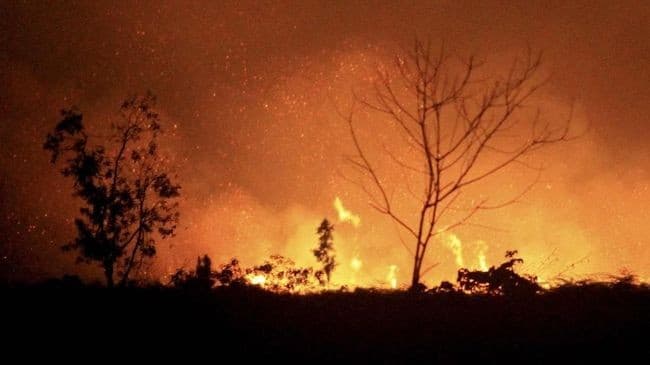 Kebakaran hutan dan lahan (ilustrasi)