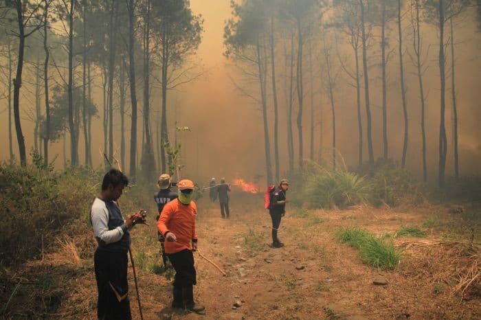 Kebakaran di Gunung Ciremai (istimewa)