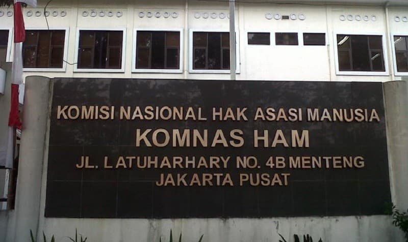 Komnas HAM (Foto:Istimewa)