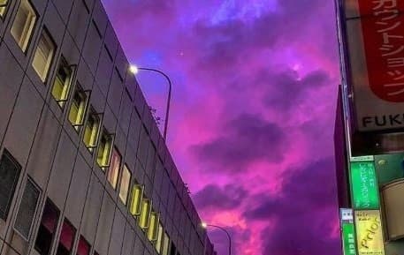 Langit Berwarna Pink di Jepang (Foto:Istimewa)