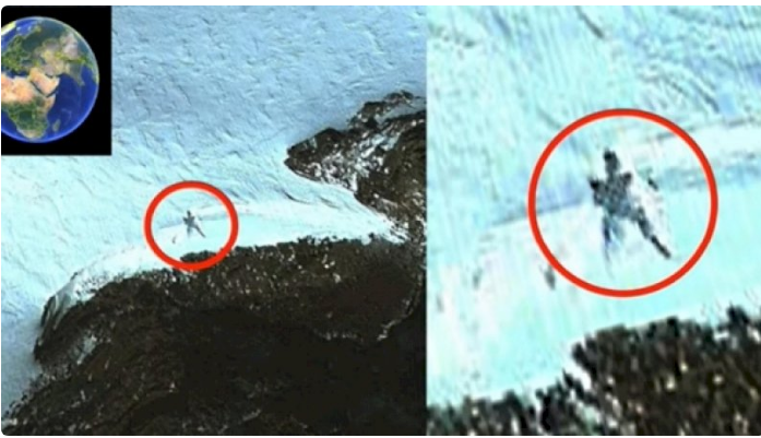 Mahluk misterius di antartika (Foto:Istimewa)