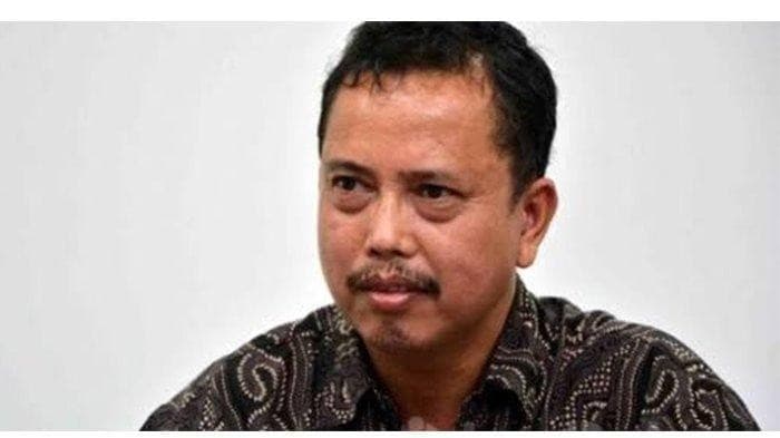  Ketua Presidium Ind Polive Watch (IPW) Neta S Pane (Foto:Istimewa)