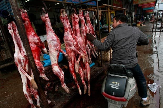 Pasar Hewan Liar di Cina (Foto:Istimewa)