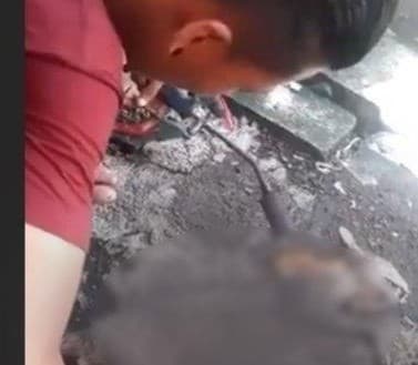 Pria sedang membakar kucing untuk dimakan (Foto:Istimewa)