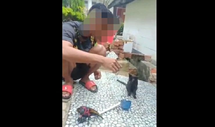Seorang pria menganiaya kucing (Foto: Tangkapan Layar Video)