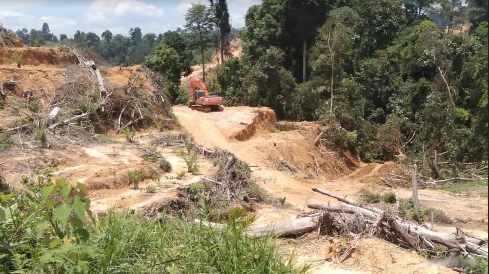 Perusakan hutan di kawasan Leuser oleh perusahaan sawit nakal. (Foto: RAN)