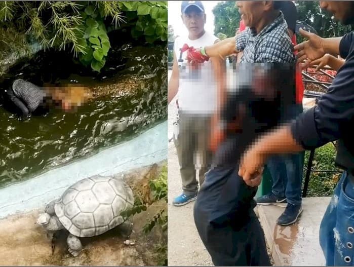 Pria nyaris meregang nyawa gegara selfie dengan buaya yang dikiranya cuma patung. 