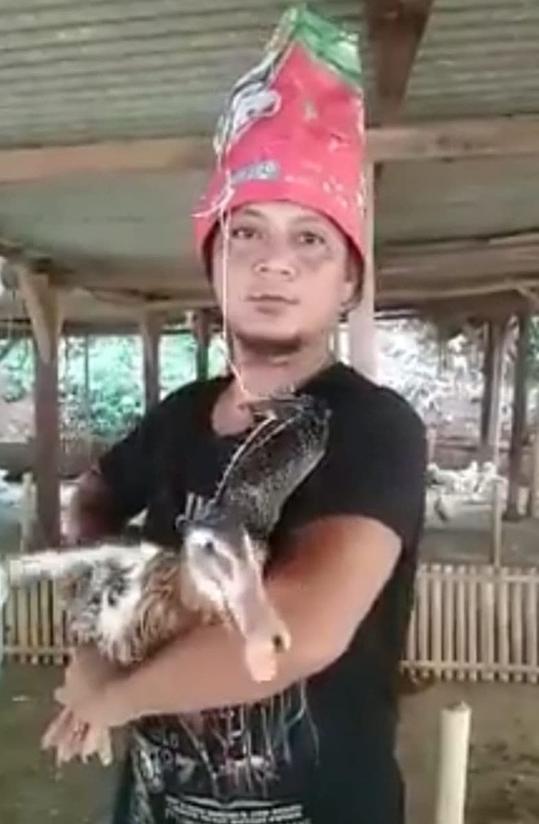 Pria yang 'paksa' bebek jadi terompet (facebook @Yohana S Megarona Tambunan)