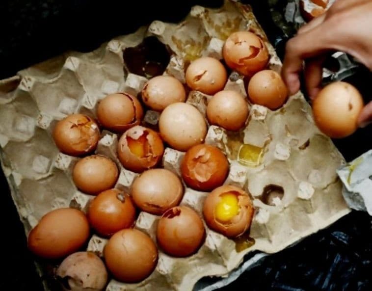 ilustrasi telur busuk (Foto:Istimewa)