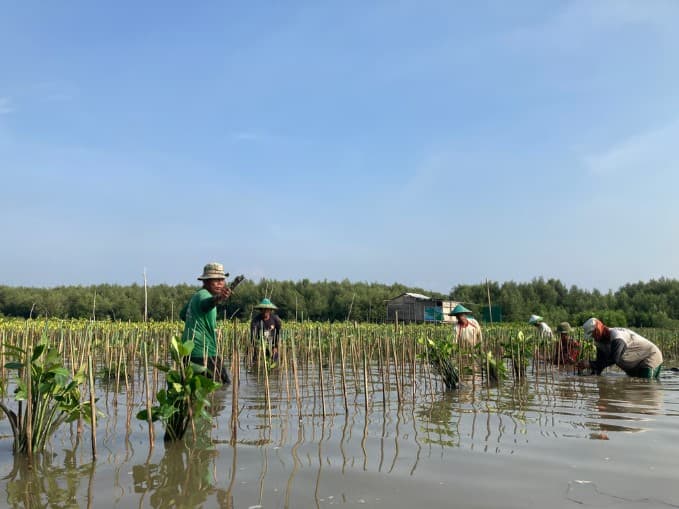 LindungiHutan Ajak Publik Rayakan Hari Menanam Pohon Indonesia dengan Aksi Nyata di Tengah Krisis Iklim. LindungiHutan Ajak Publik Rayakan Hari Menanam Pohon Indonesia dengan Aksi Nyata di Tengah Krisis Iklim.