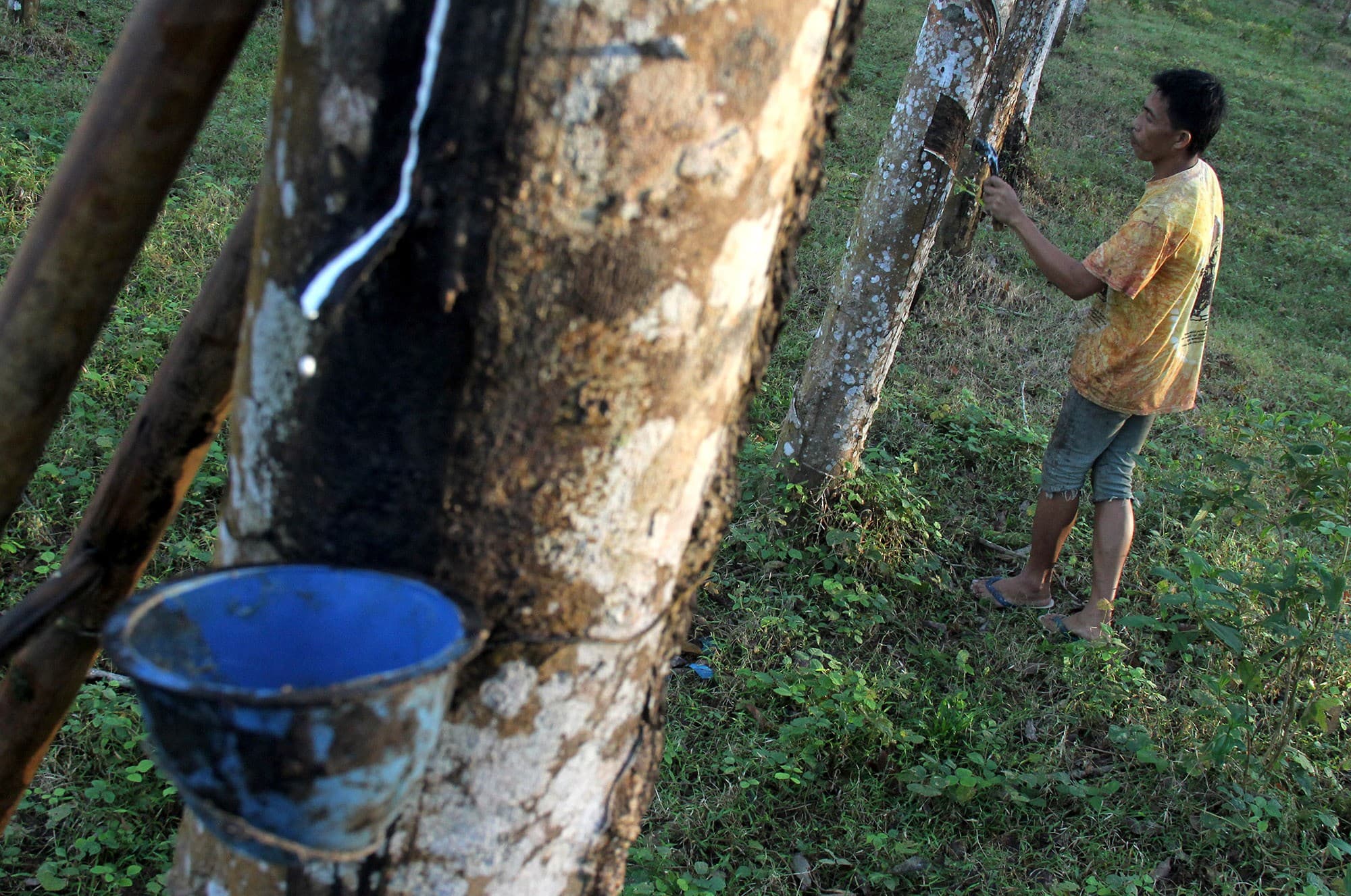 Kemendag: Implementasi AETS ke-6 akan Dilaksanakan!