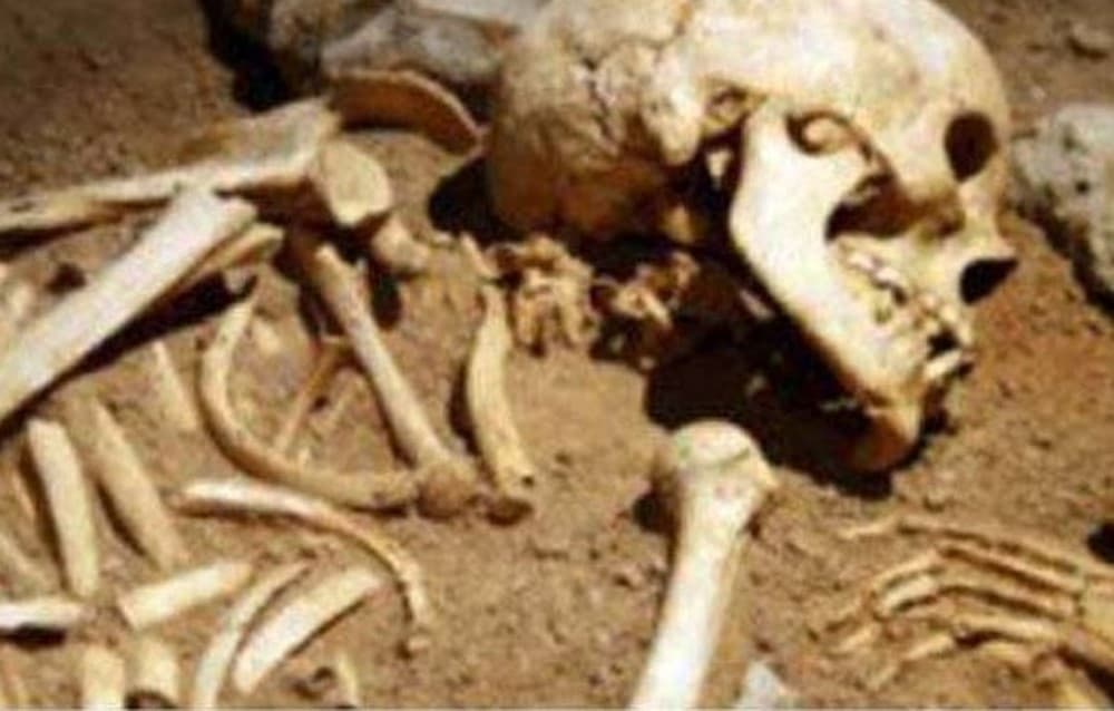 Dikira Penghuni Kontrakan Lubang Tikus, Ternyata Kuburan Korban Pembunuhan