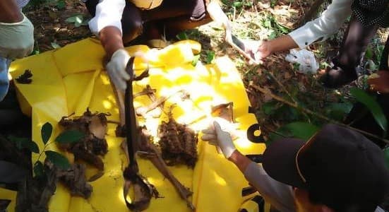 ilustrasi penemuan jasad tinggal tulang belulang (Foto:Istimewa)s