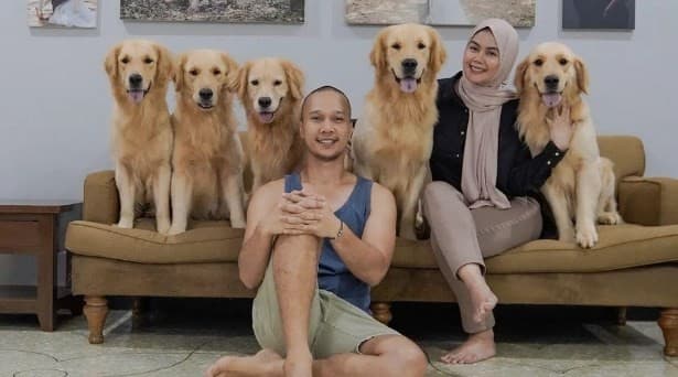 Viral 2 Anjing Bima Aryo Hilang di Lebak Bulus, Animal Lovers Yuk Bantu Cari! Ini Ciri-cirinya...