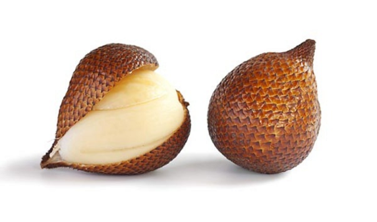 Ilustrasi buah salak (Foto: Istimewa)