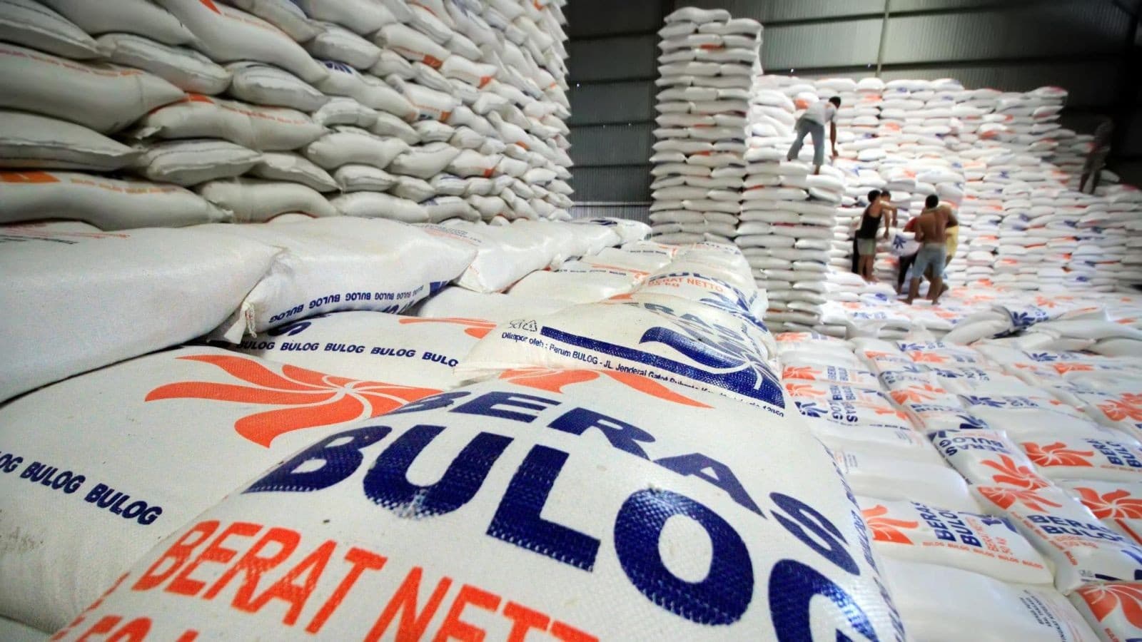 Utang Bulog Membengkak Hingga Rp 13 Triliun, Buwas Ungkap Penyebabnya