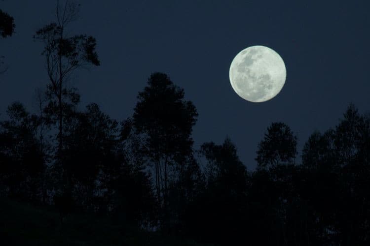 Fase Bulan Purnama (foto:Istimewa)