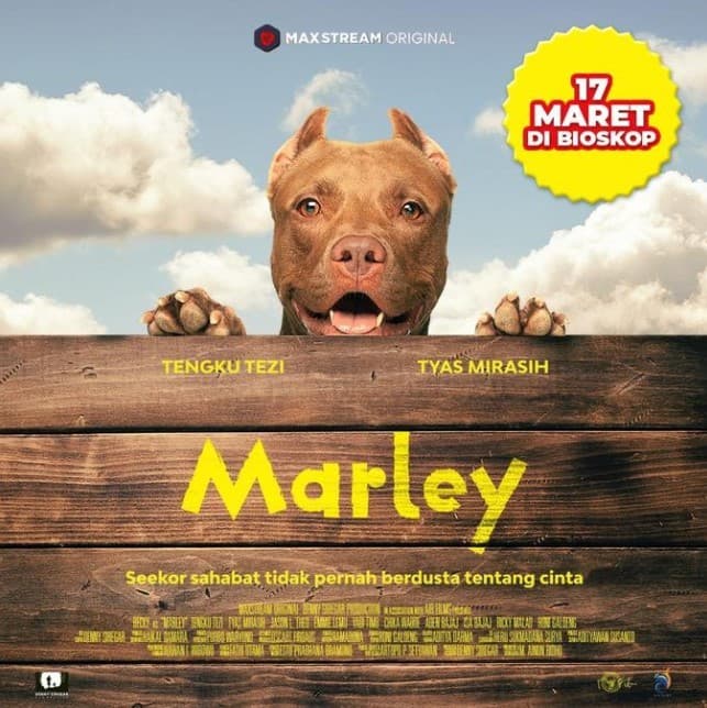 Dukung Dog Are Not Food! Bocoran 'Marley', Film RI Pertama yang Jadikan Anjing Sebagai Pemeran Utama