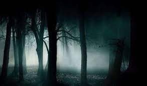  Hutan Bukit Dow, India (Foto:Istimewa)
