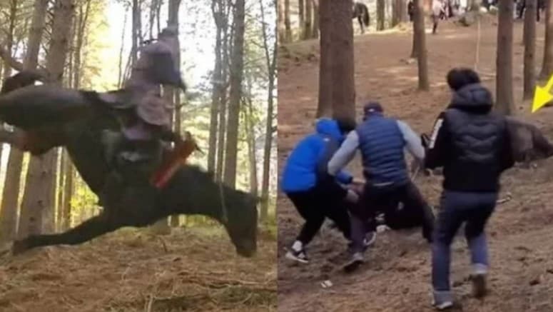 Usai Diamuk Pecinta Hewan Seantero Dunia, 'The King of Tears Lee Bang Won' Akhirnya Berhenti Tayang