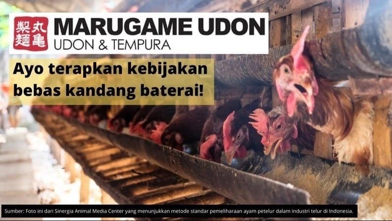 Petisi untuk Marugame Udon di laman Change.org