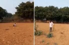 Horor, Pria Mabuk Ajak Bicara Ular Kobra